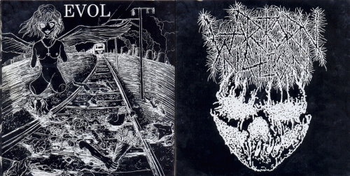 WTN : Wartorn Nation - Evol